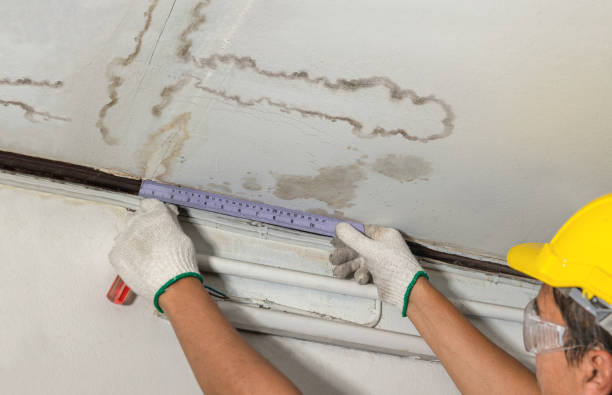 Reliable Flood Cleanup contractor in Forest Grove, OR by Water Damage Irwin